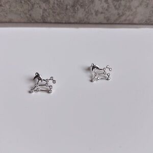 Earthbound Trading Co. Leo Zodiac Earrings